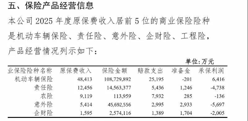 国资险企首任掌门落马 扯下连续八年盈利遮羞布